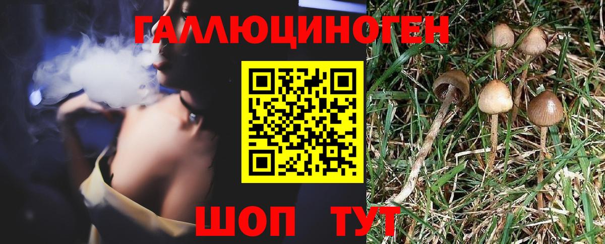 Псилоцибиновые грибы MAGIC MUSHROOMS  Псилоцибиновые грибы мицелий  Вход с VPN  Назрань 